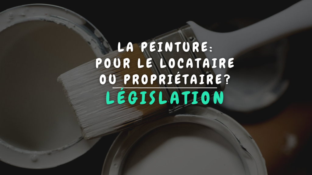 Banner Appartement 2024 - La peinture: pour le locataire ou propriétaire?