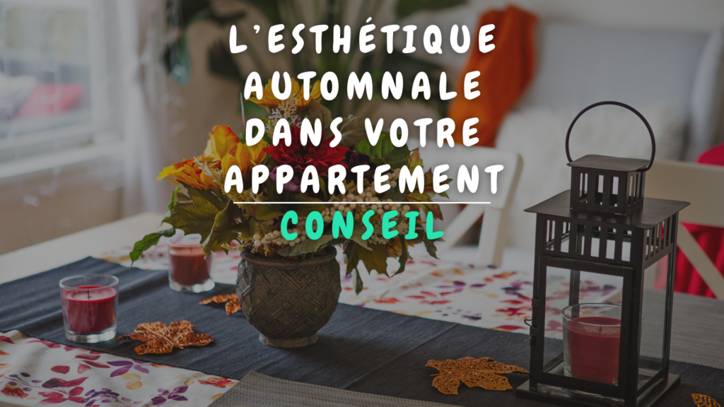 Banner Appartement - L’esthétique automnale dans votre appartement